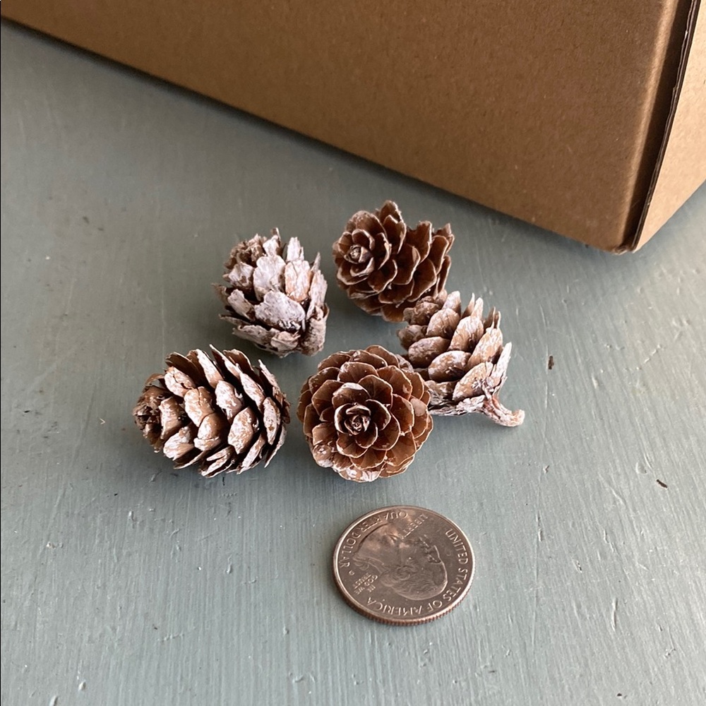NIB Bulk Mini Snowy Pinecones Holiday Decor - Picture 4 of 5